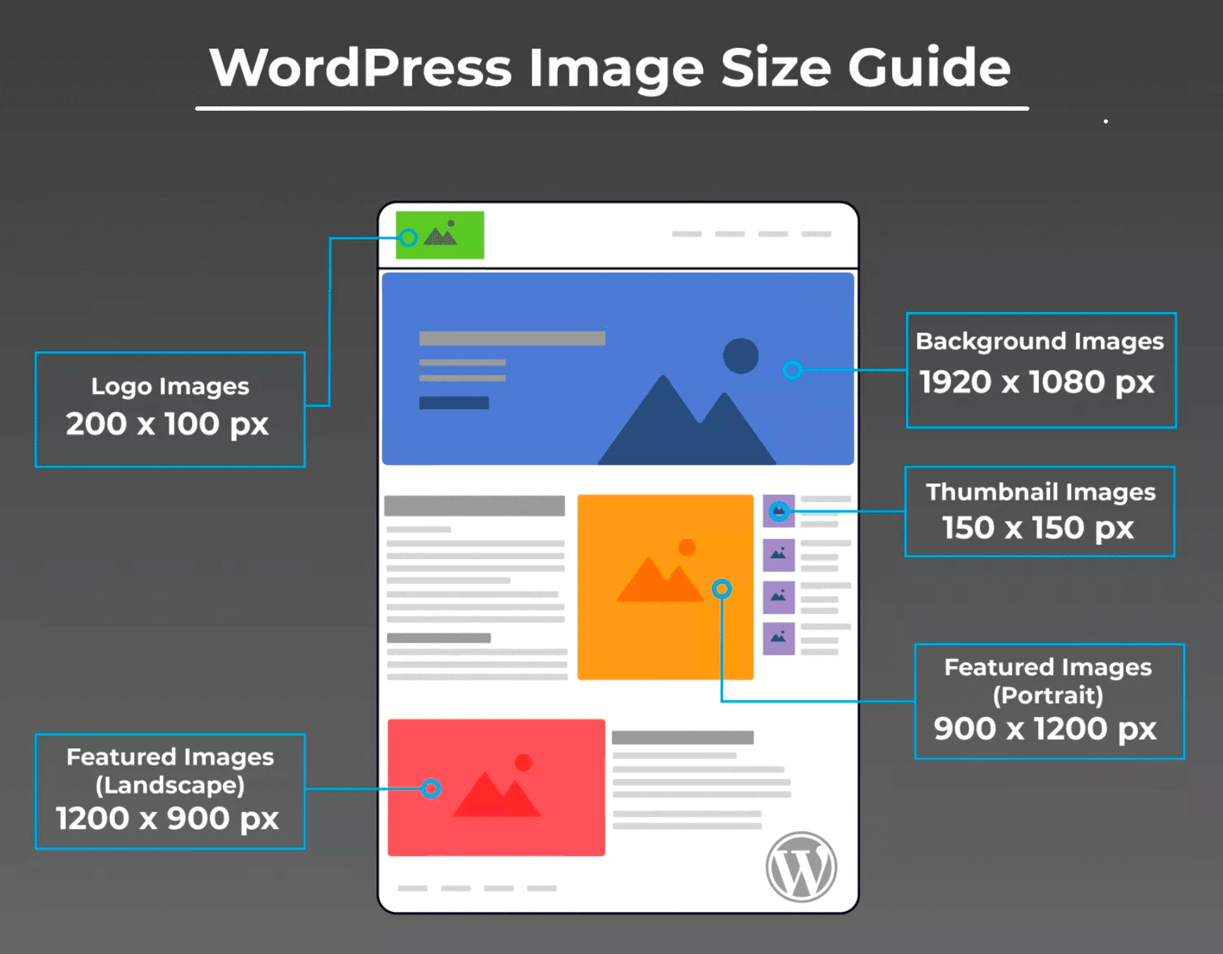 Best Image Sizes for WordPress