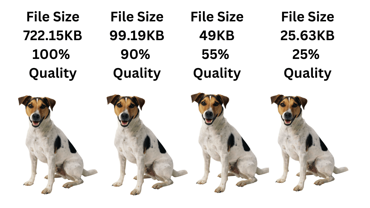 WordPress Image File Size Optimization